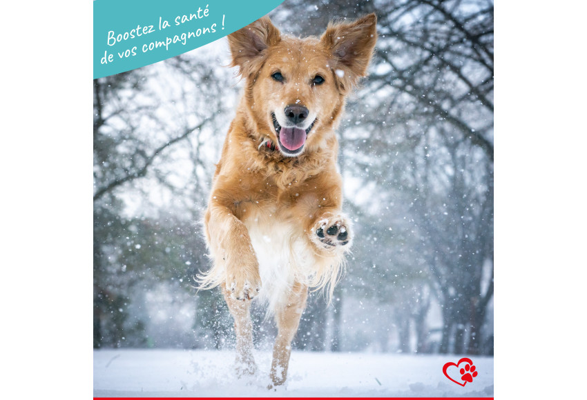 BOOSTEZ LA SANTE DE VOS COMPAGNONS !